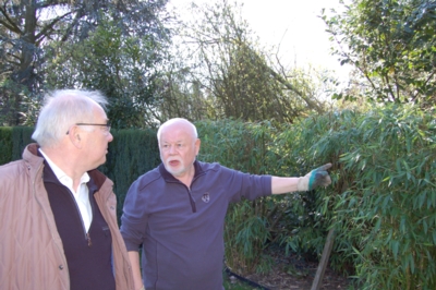 Bumm  jetzt fiel auch noch 