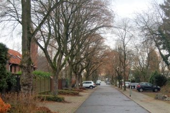 Die Allee – Dein Freund und Helfer!
