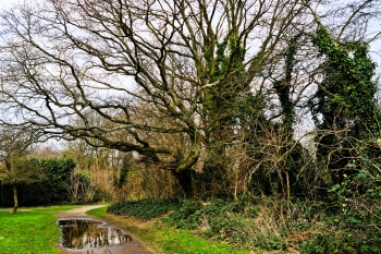 Ideen für das Areal „Zeche Fritz“ gesucht!