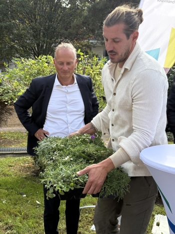 Auszeichnung fr den Bauverein  Dcher knnen mehr!